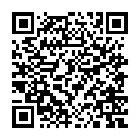 QR code for S385O