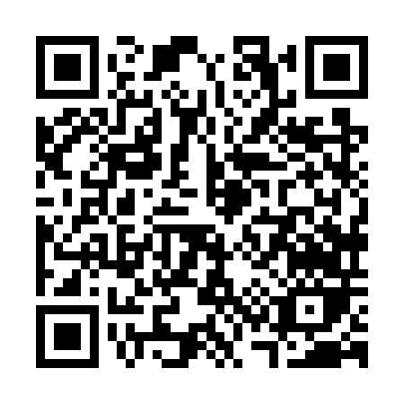 QR code for S387T