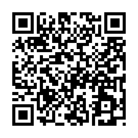 QR code for S394G