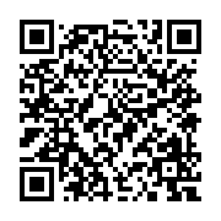 QR code for S394Y