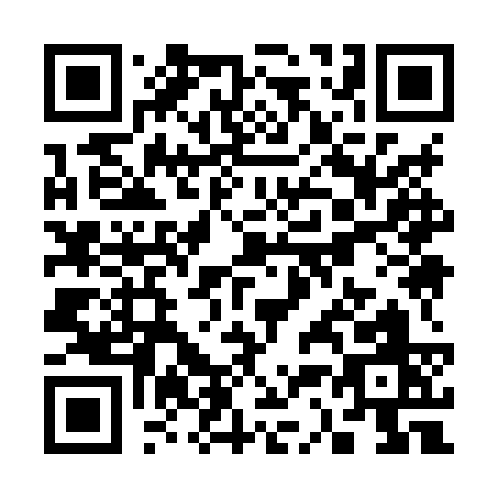 QR code for S398S