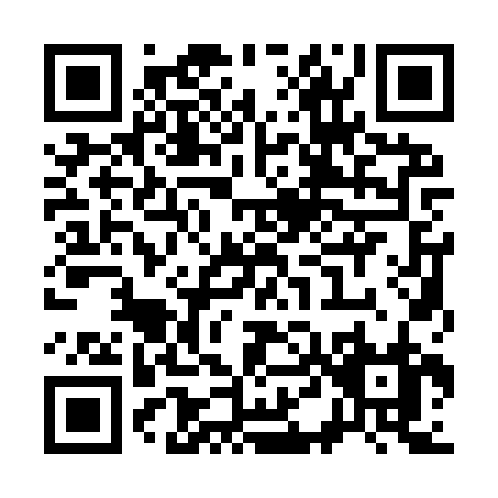 QR code for S419R