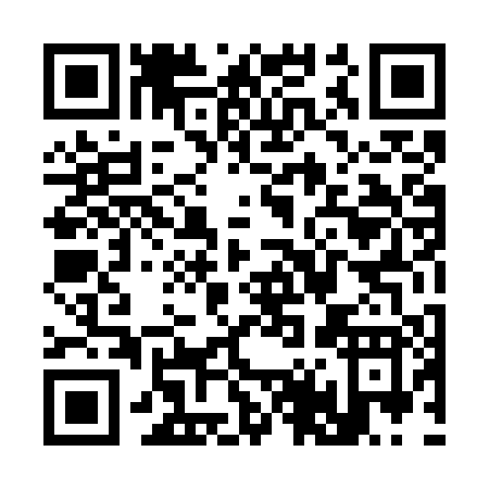 QR code for S447P
