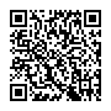 QR code for S451L