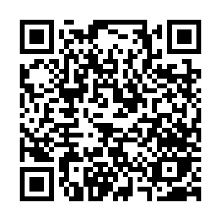QR code for S453N