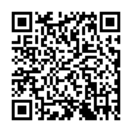 QR code for S463P