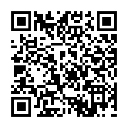 QR code for S493H