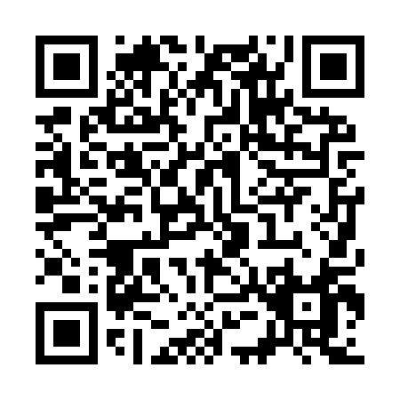 QR code for S509Q