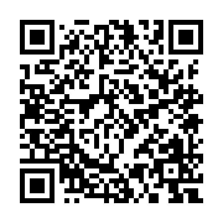 QR code for S519I
