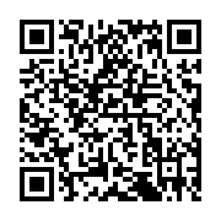 QR code for S541X