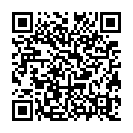 QR code for S877GI