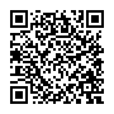 QR code for S909Z