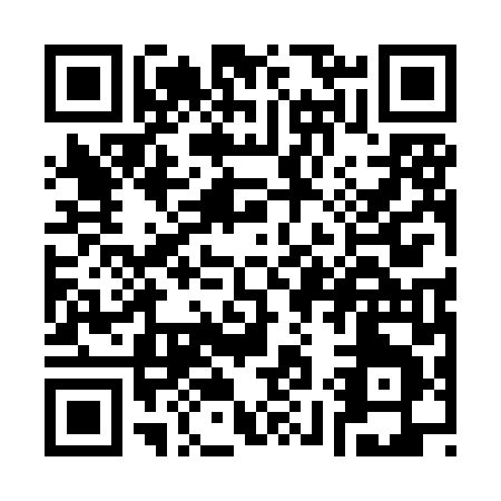 QR code for S918L