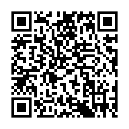 QR code for S919R
