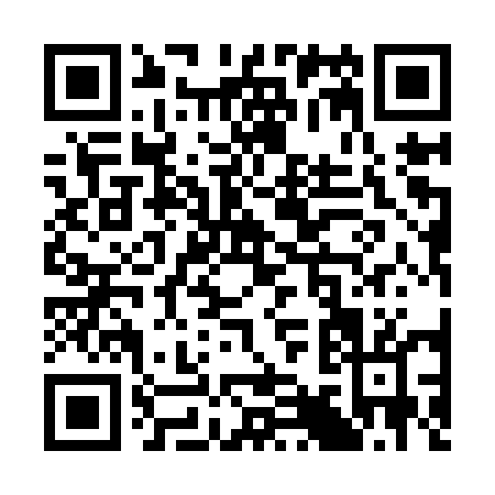 QR code for S919U