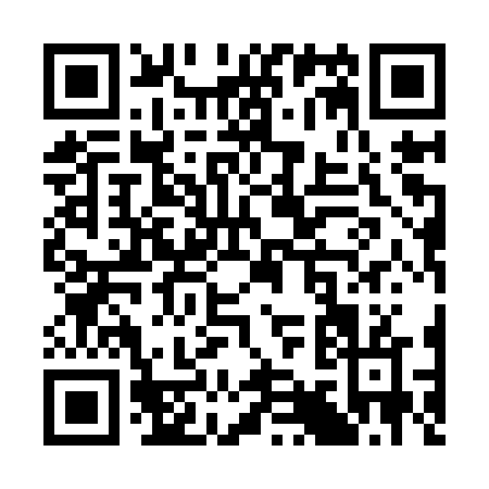 QR code for S919V