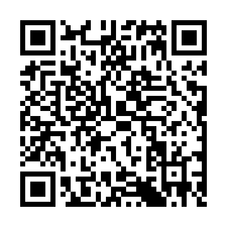 QR code for S920T