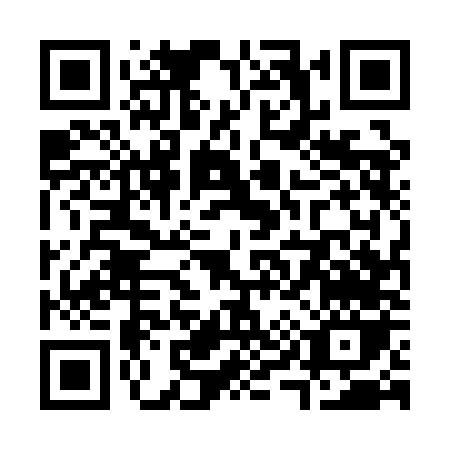 QR code for S951N