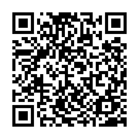 QR code for S955GT