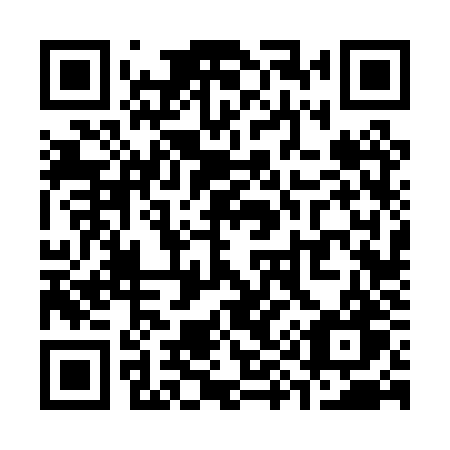 QR code for plate S96 0ZW