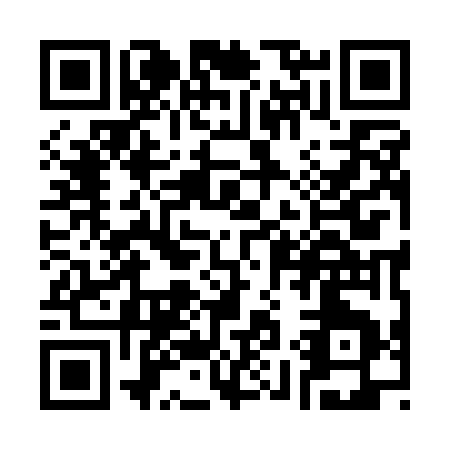 QR code for S991G