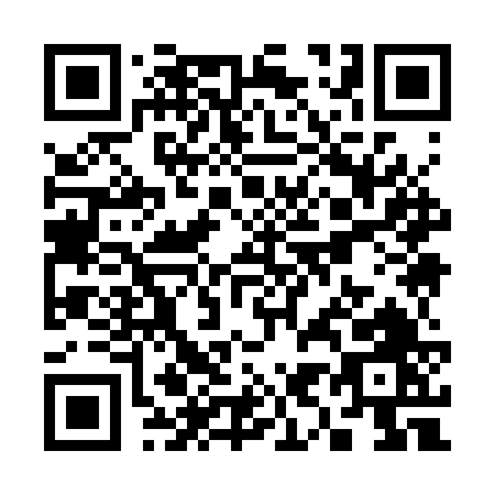 QR code for S993V