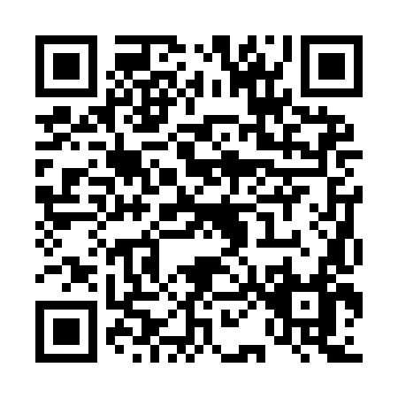 QR code for T029L