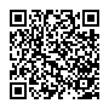 QR code for T046G