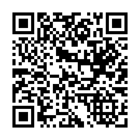 QR code for T06 3IG