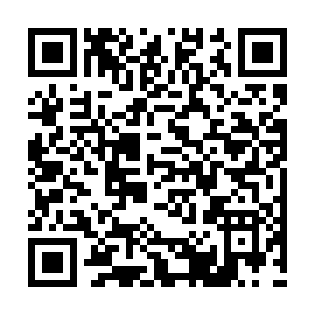 QR code for T065P