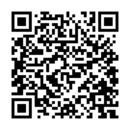 QR code for T066P