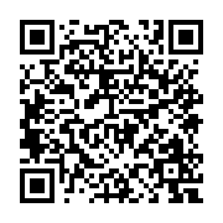 QR code for T095Q