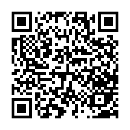 QR code for T100P