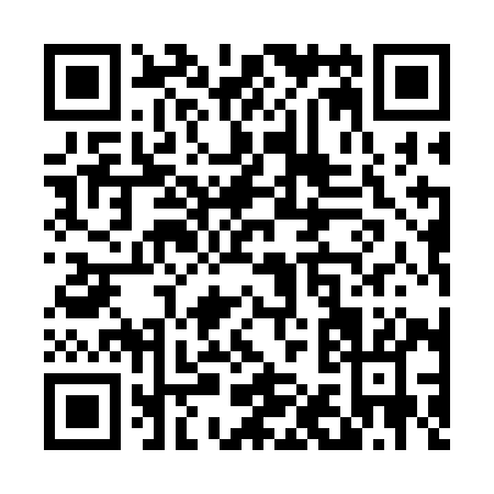 QR code for T113I