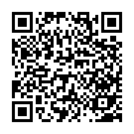 QR code for T125C