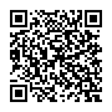 QR code for T13 0MM