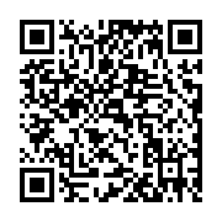 QR code for T161P
