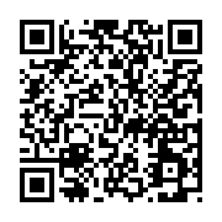 QR code for T161X