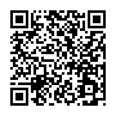QR code for T163U