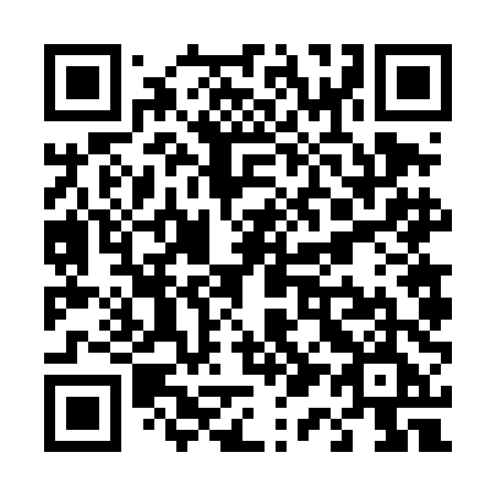 QR code for plate T16 4DE