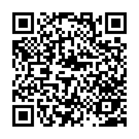 QR code for T165Z