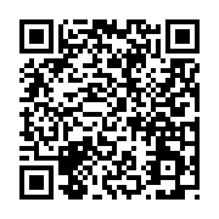 QR code for T166N