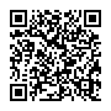 QR code for plate T17 3FZ