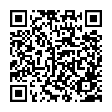 QR code for plate T17 5DV