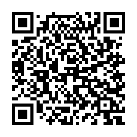 QR code for plate T17 5LC