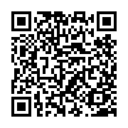 QR code for plate T19 4MP