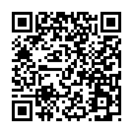 QR code for T197L