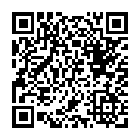 QR code for T198S
