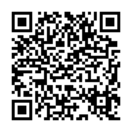 QR code for T213P