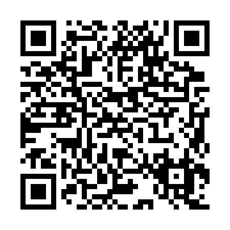 QR code for T213Z